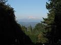 Portland 61